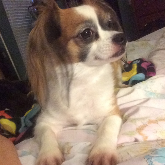 Mother, Daughter, Friend, Paraplegic, & Posher!! - Picture 3 of 4